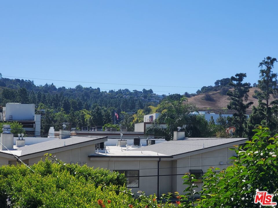 Hood photo 18
