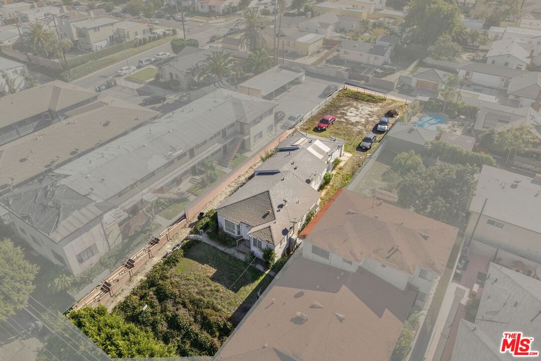 Florence photo 1
