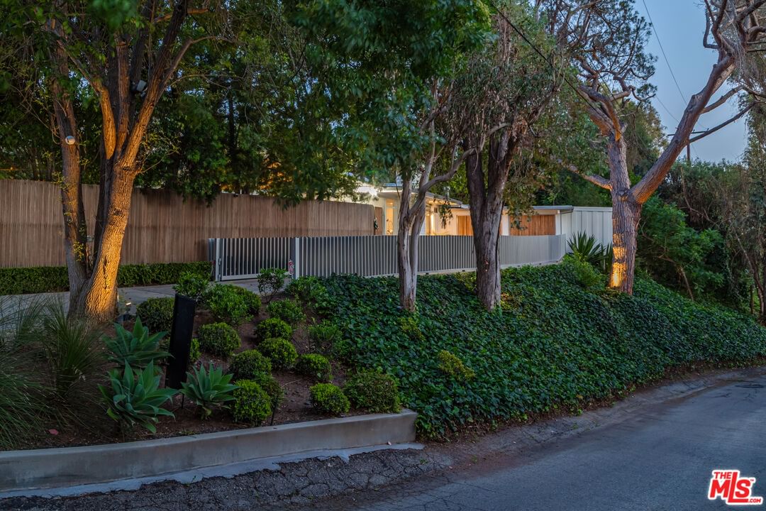 Lorna photo 44