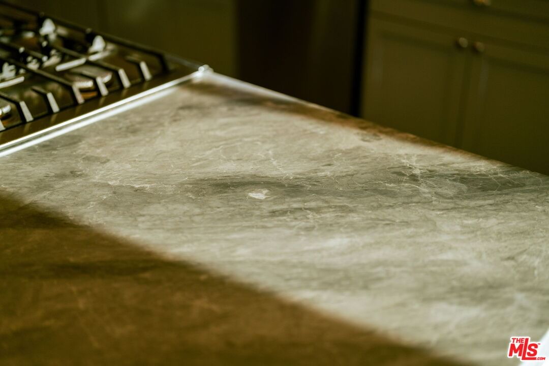 Windsor photo 52