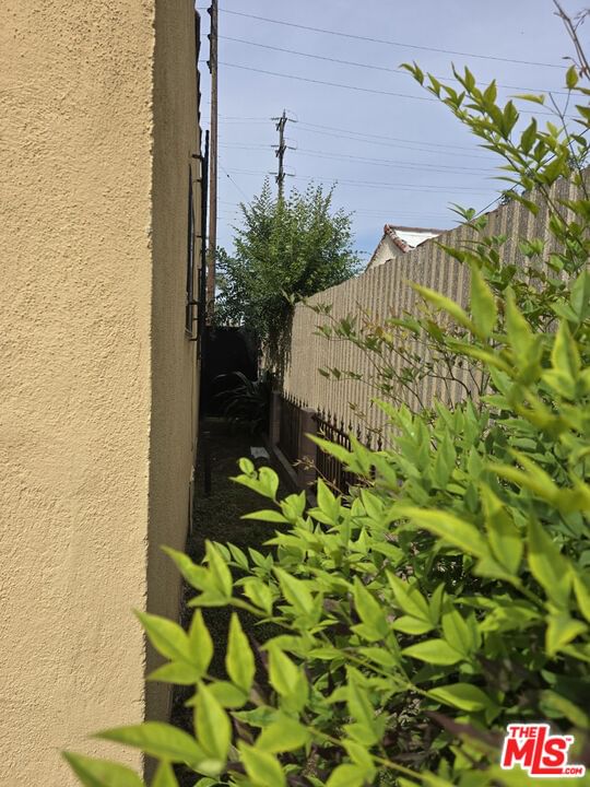 Clovis photo 14