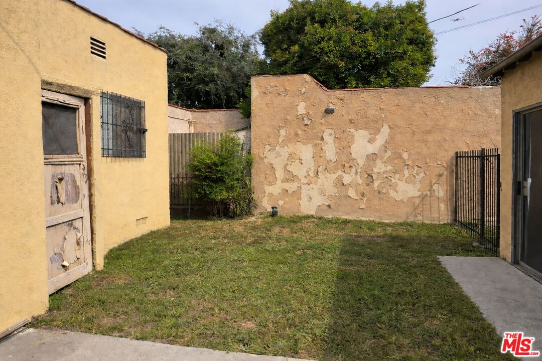 Clovis photo 2