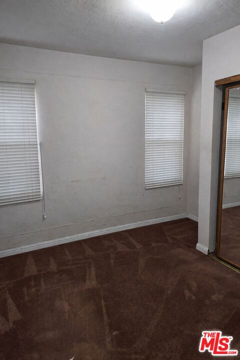 Clovis photo 4