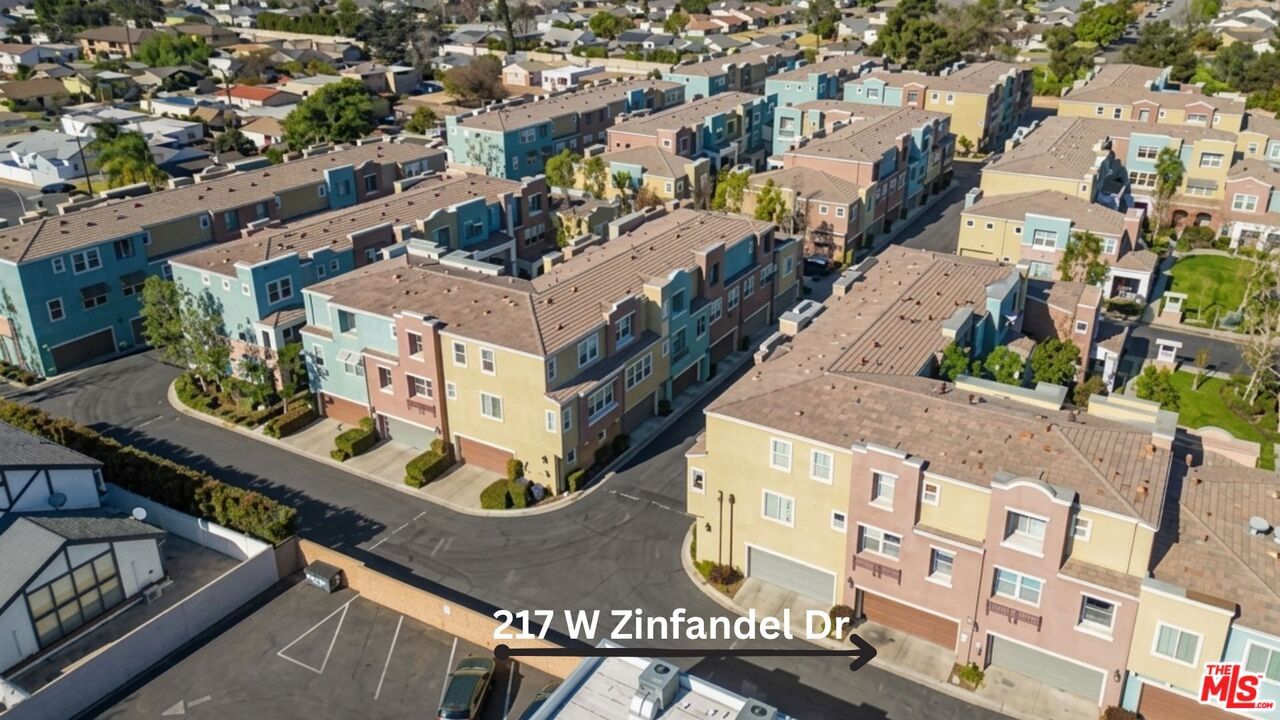 Zinfandel photo 21