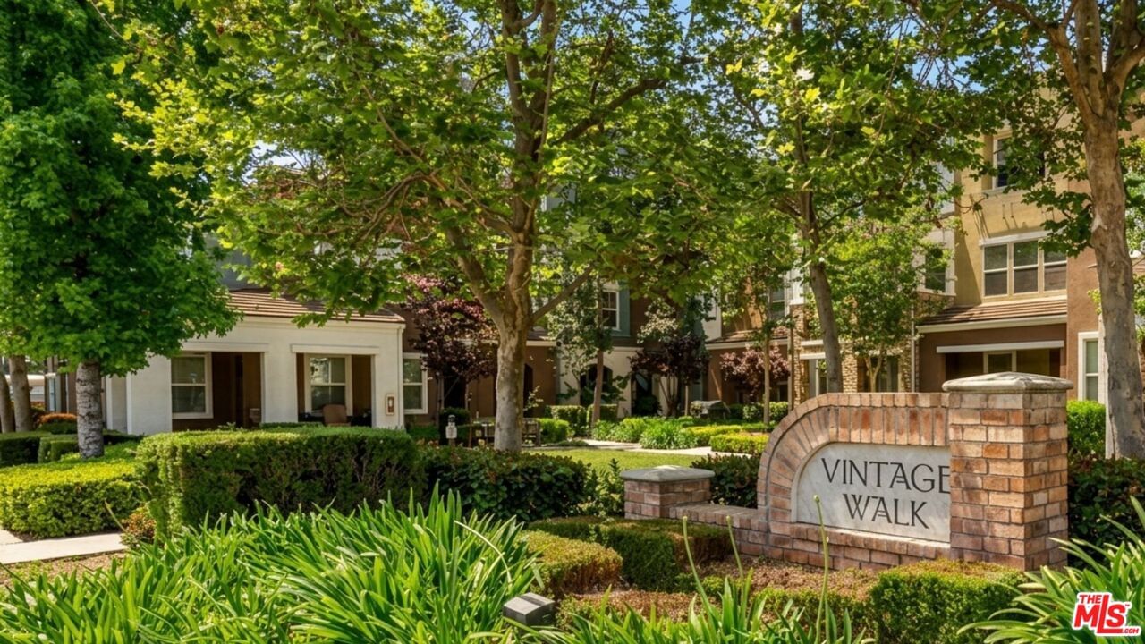 Zinfandel photo 4