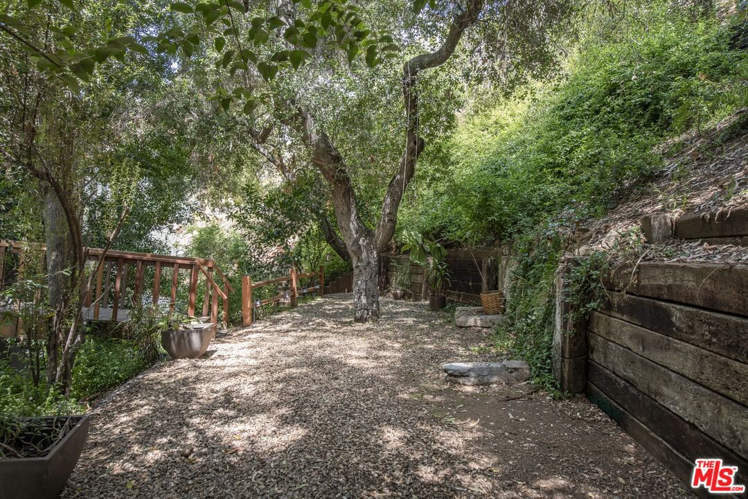 Laurel Canyon photo 18