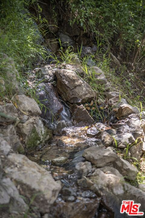 Laurel Canyon photo 19