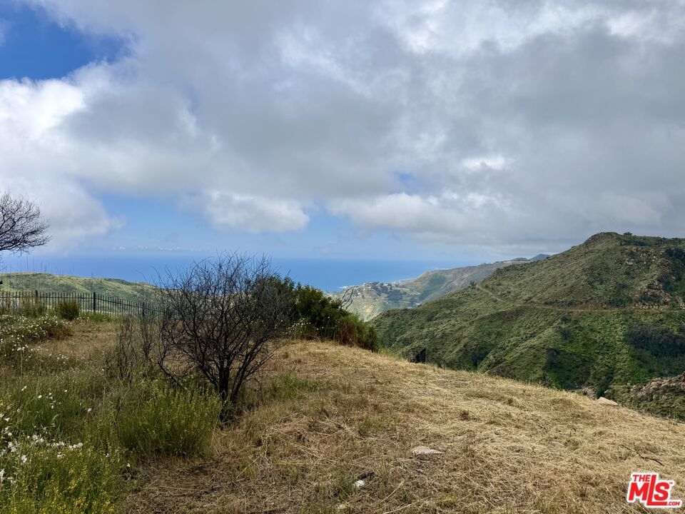 Tuna Canyon photo 4