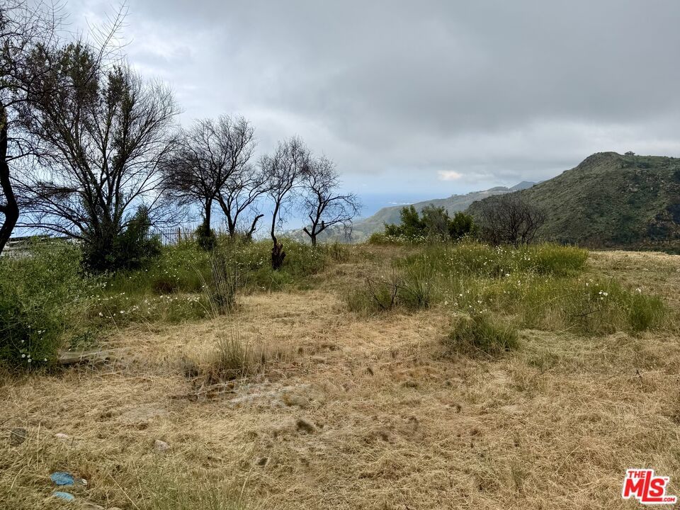 Tuna Canyon photo 5