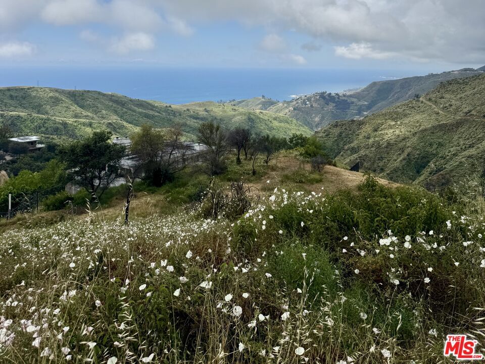 Tuna Canyon photo 6