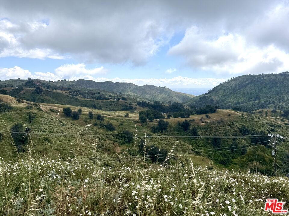 Tuna Canyon photo 7