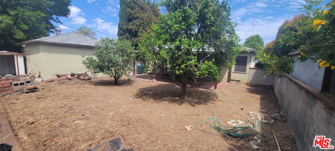 De Celis photo 9