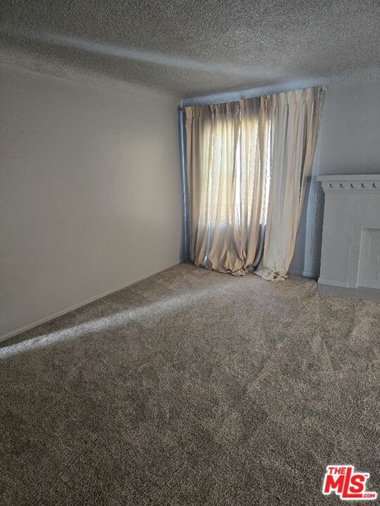 Arlington photo 14