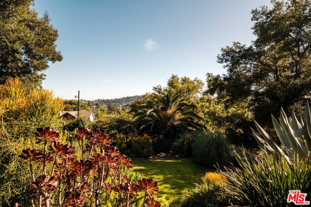 Almaden photo 9