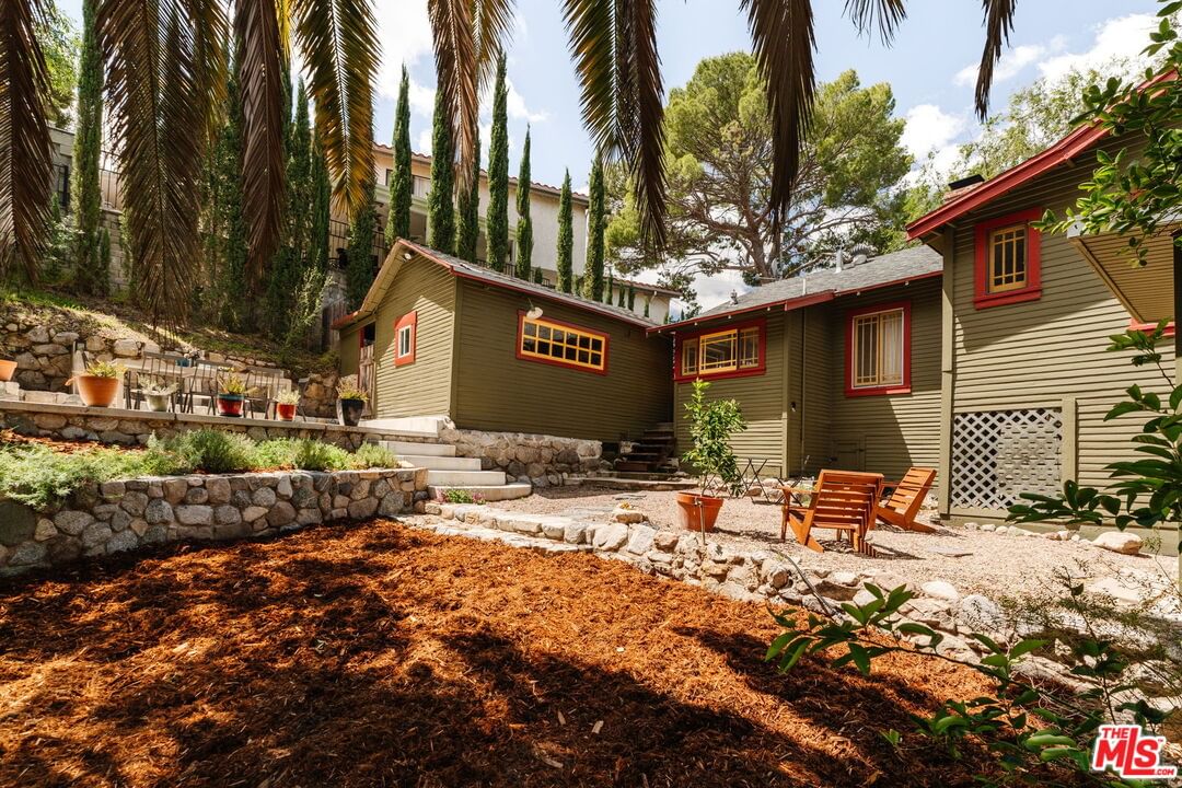 Pinyon photo 29