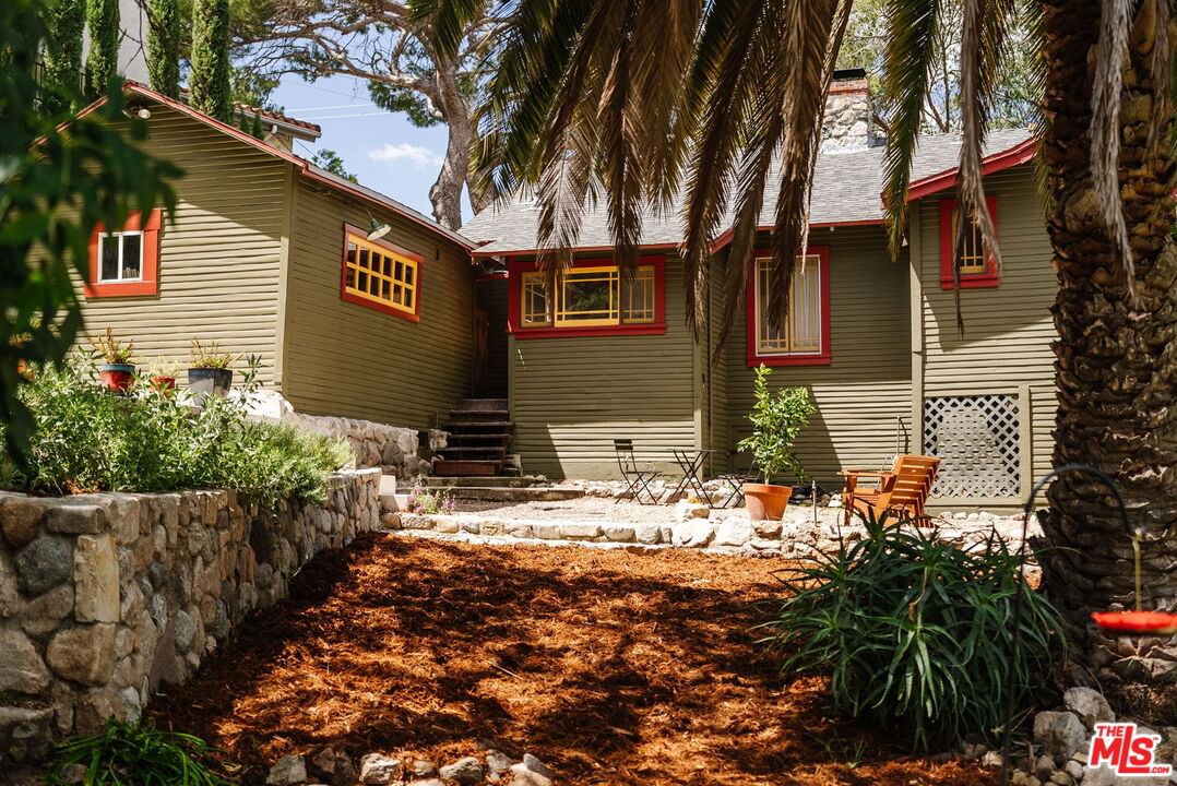 Pinyon photo 31