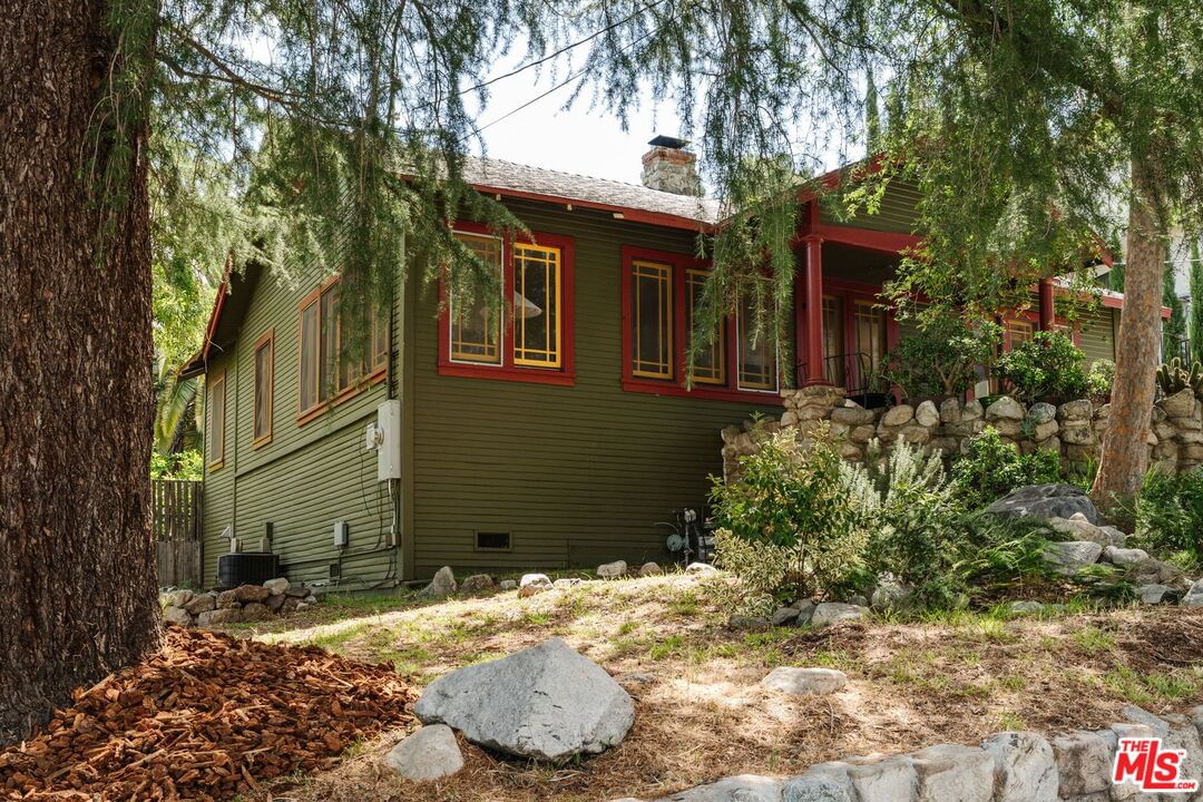 Pinyon photo 35