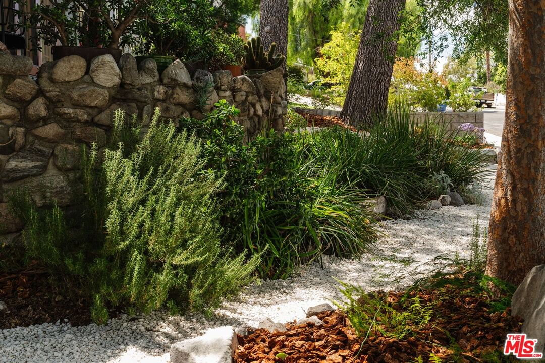 Pinyon photo 36