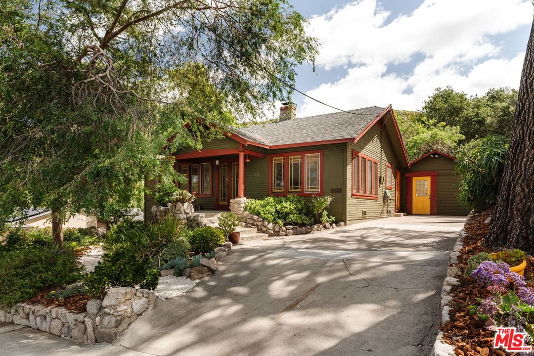 Pinyon photo 37