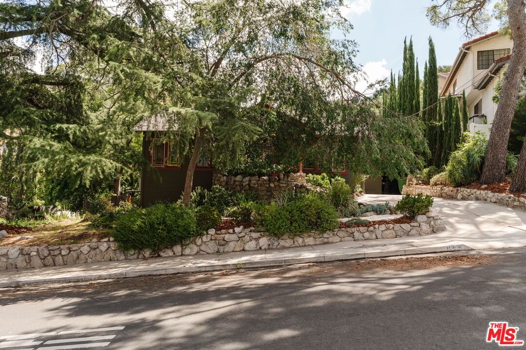 Pinyon photo 38