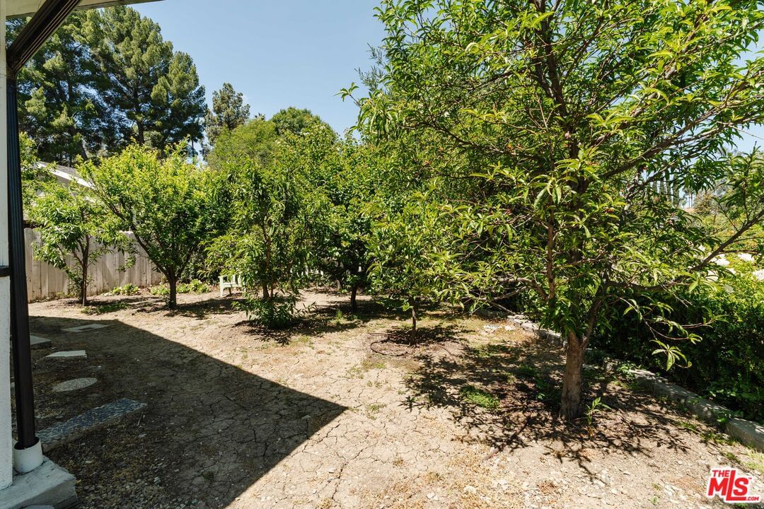 Winnetka photo 29