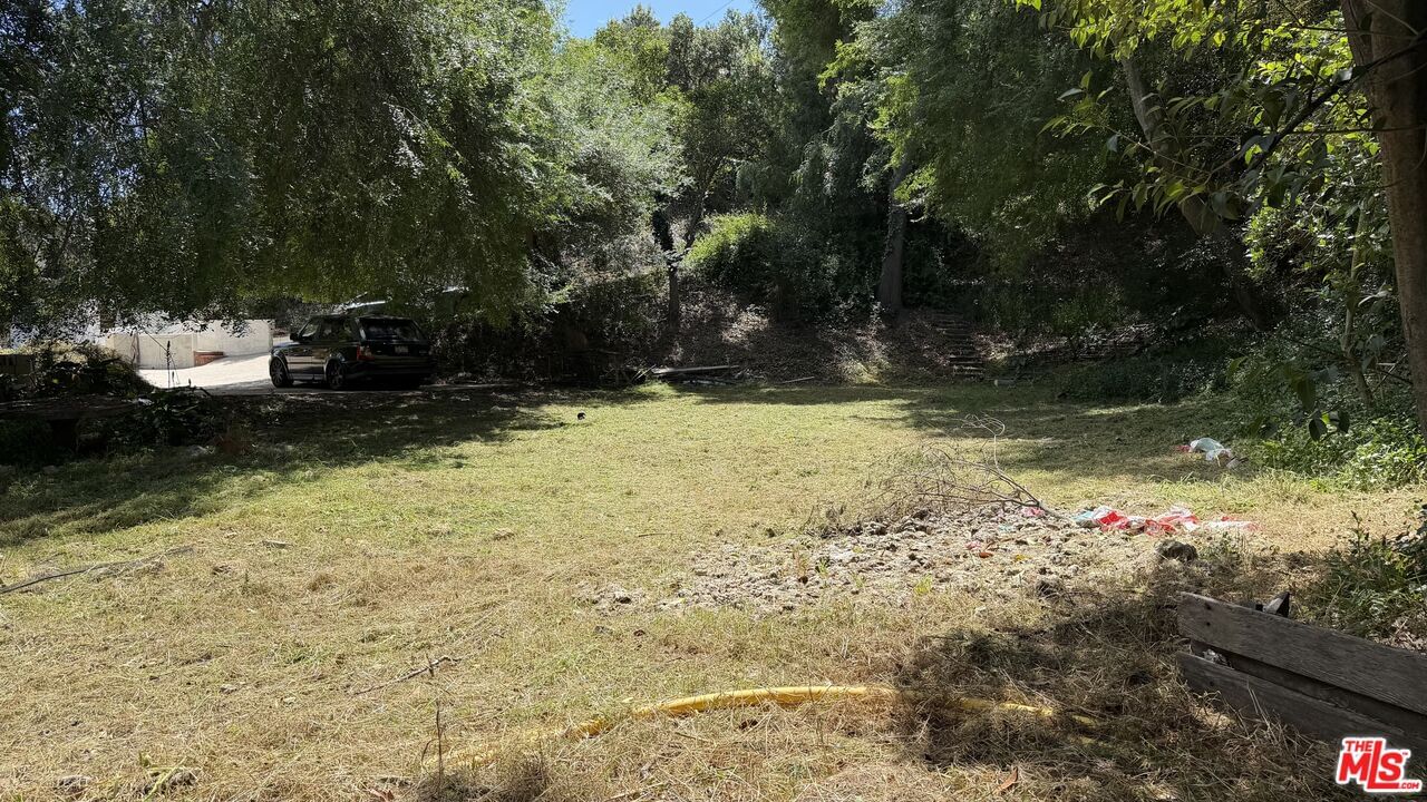 Coldwater Canyon photo 18
