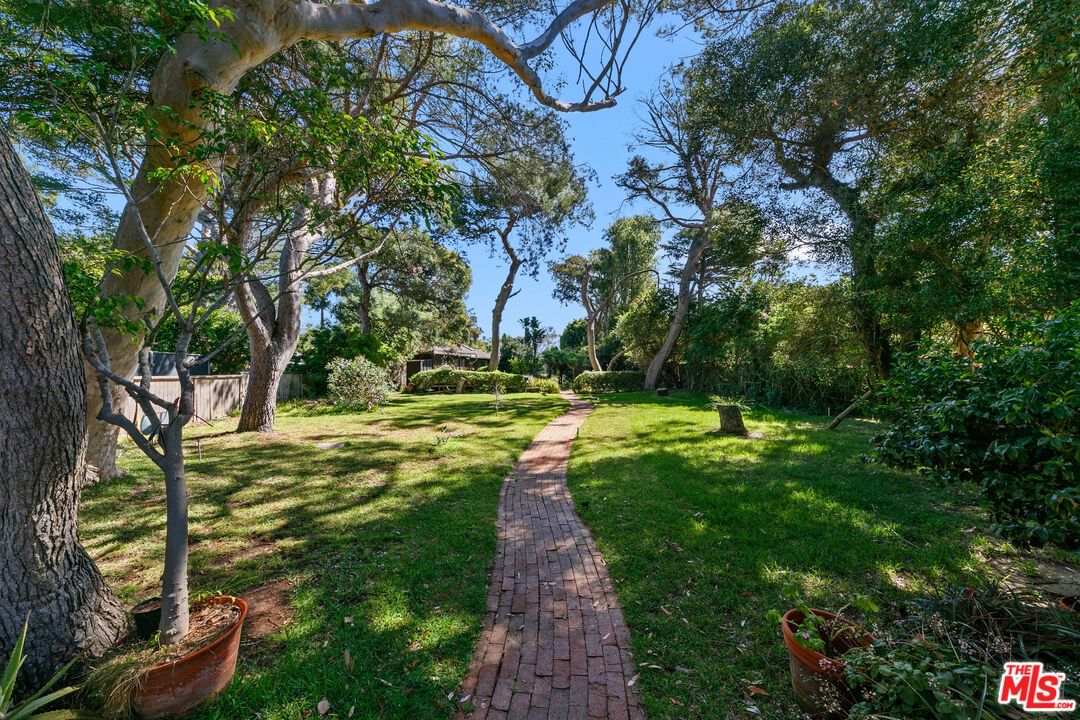 Birdview photo 60