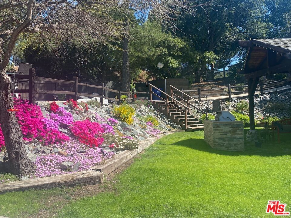 Old Topanga Canyon photo 11