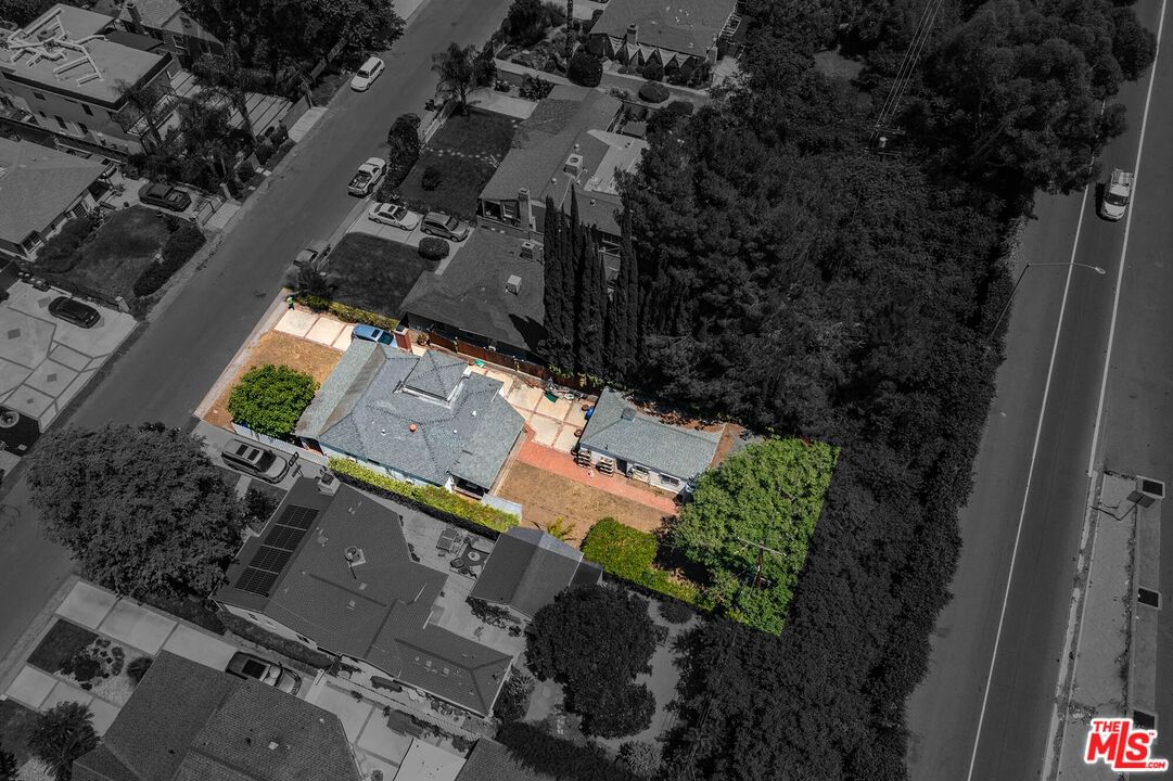 Morrison photo 21