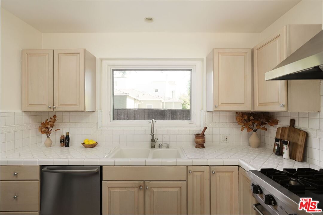 Ventura Canyon photo 15