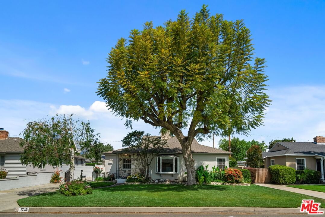 Holly Oak photo 1