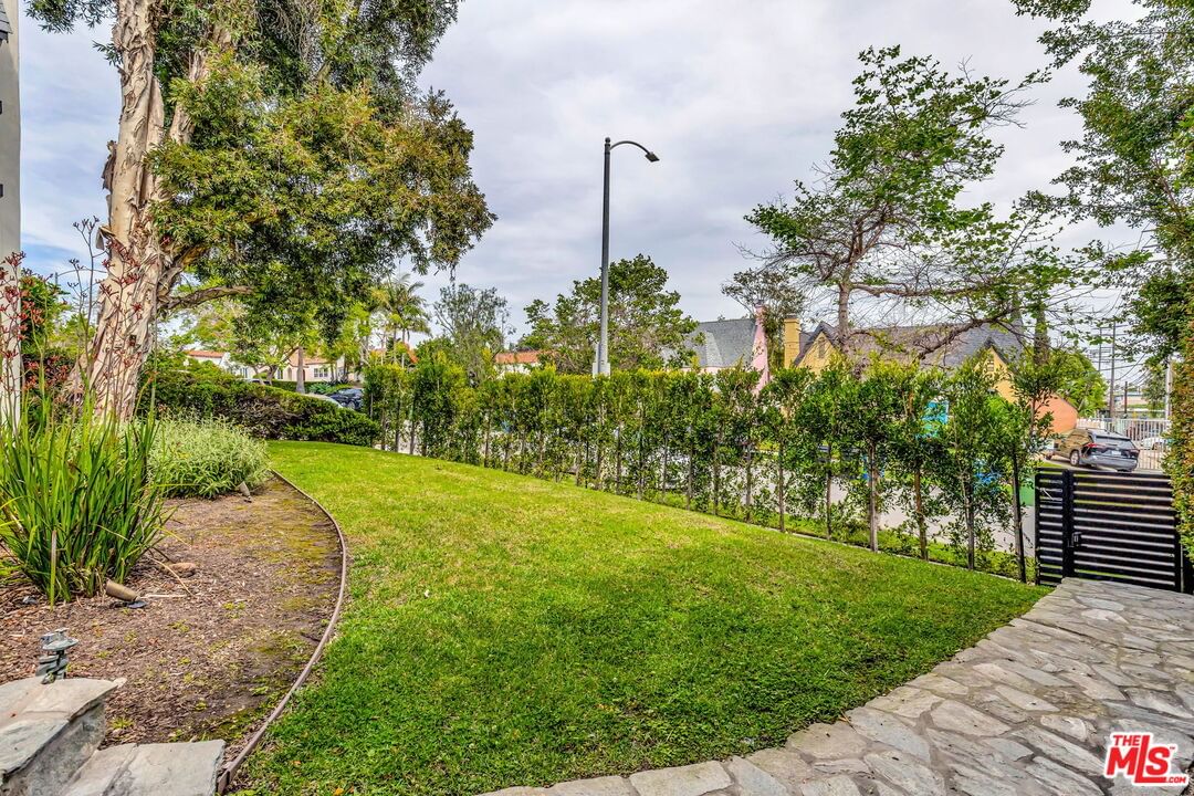 Curson photo 32