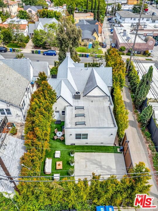 Curson photo 35