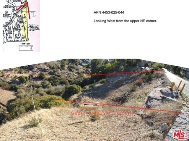 Saddlepeak photo 12