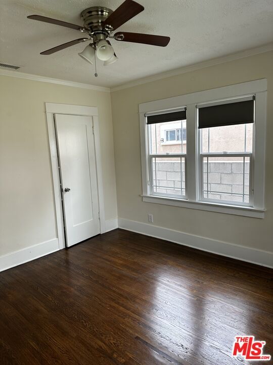 El Molino photo 14