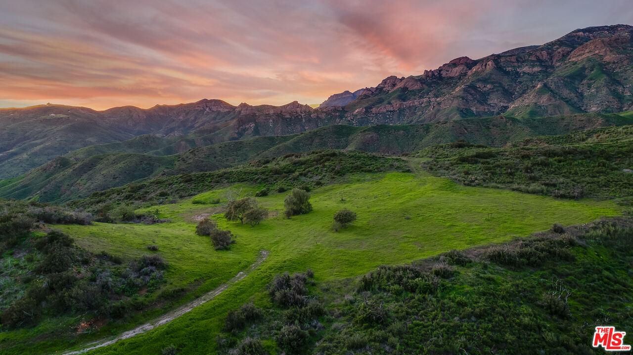 Mulholland photo 10
