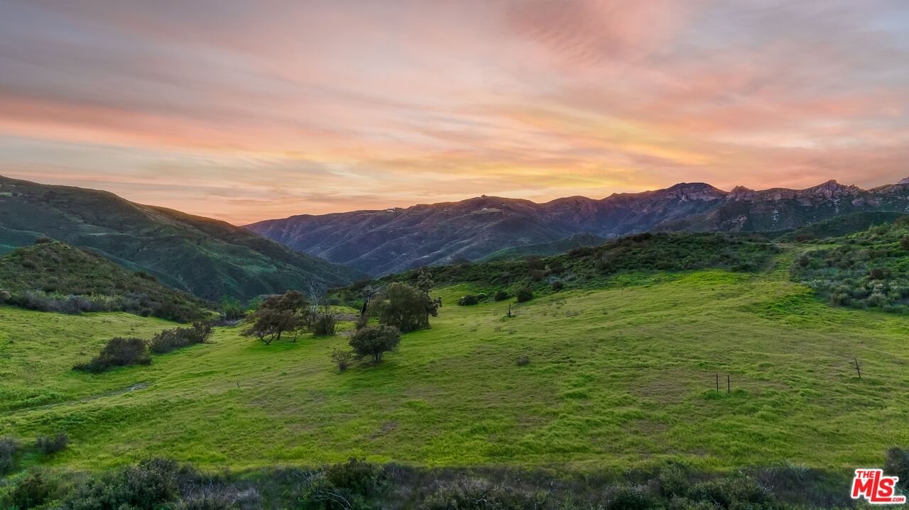 Mulholland photo 11