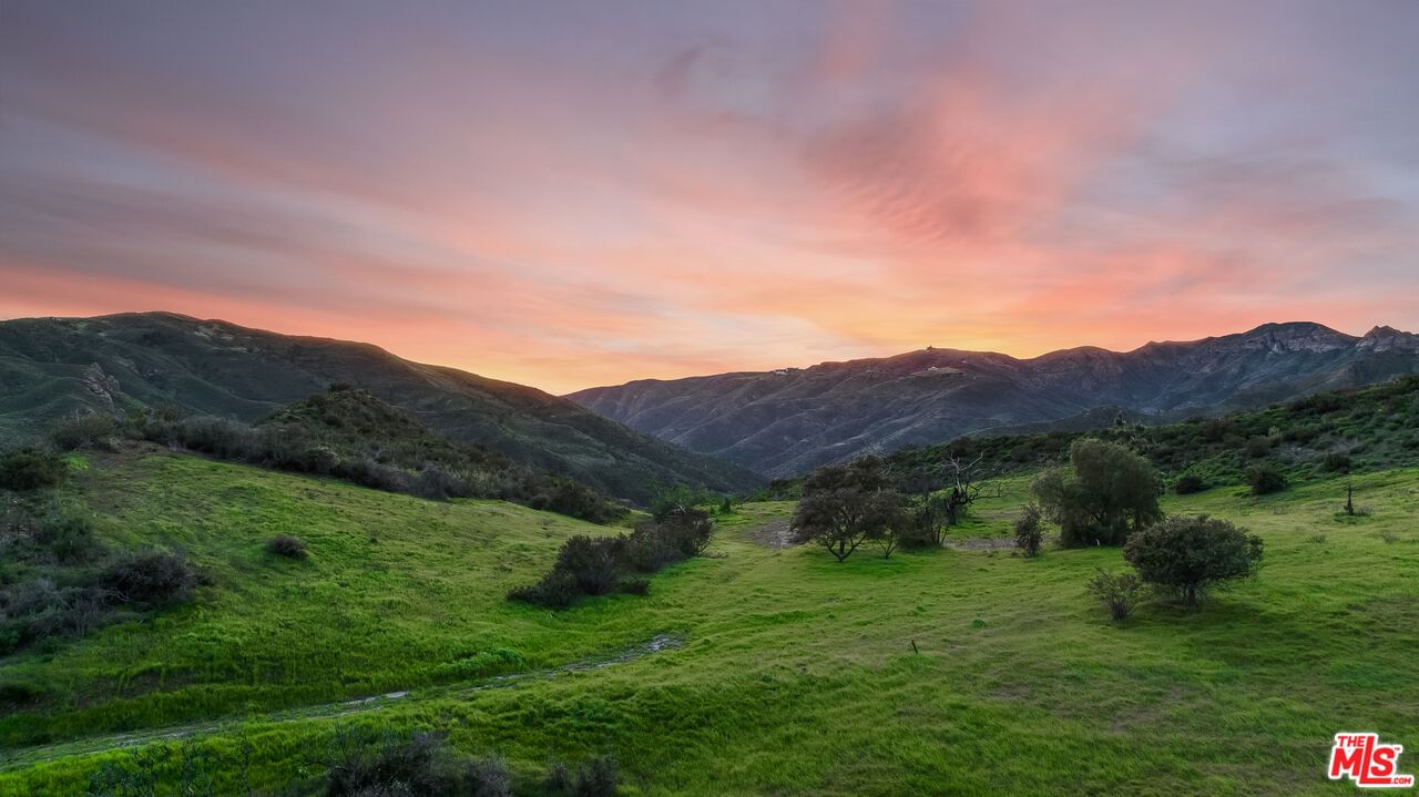 Mulholland photo 13