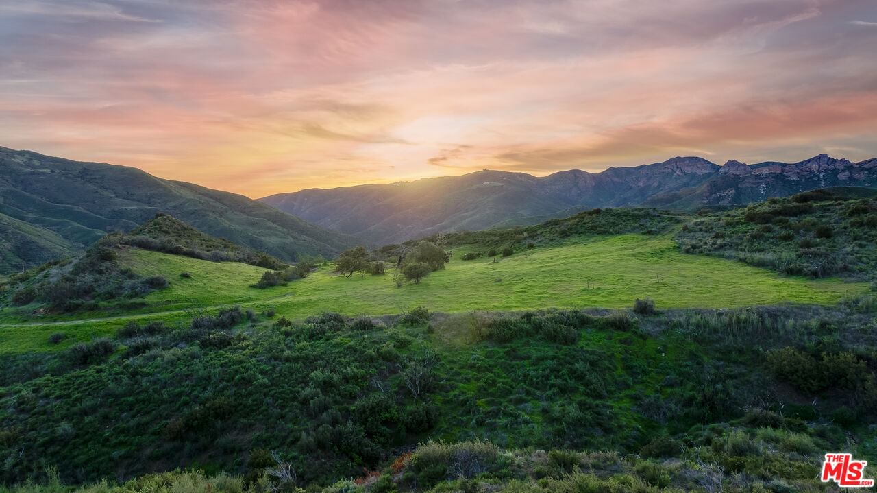 Mulholland photo 6