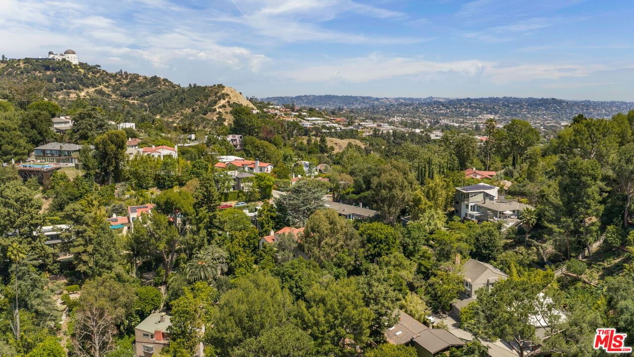 Spreading Oak photo 49