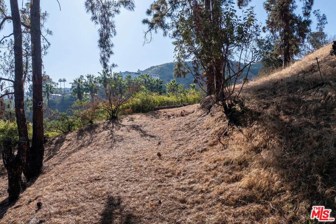 Sierra Bonita photo 41