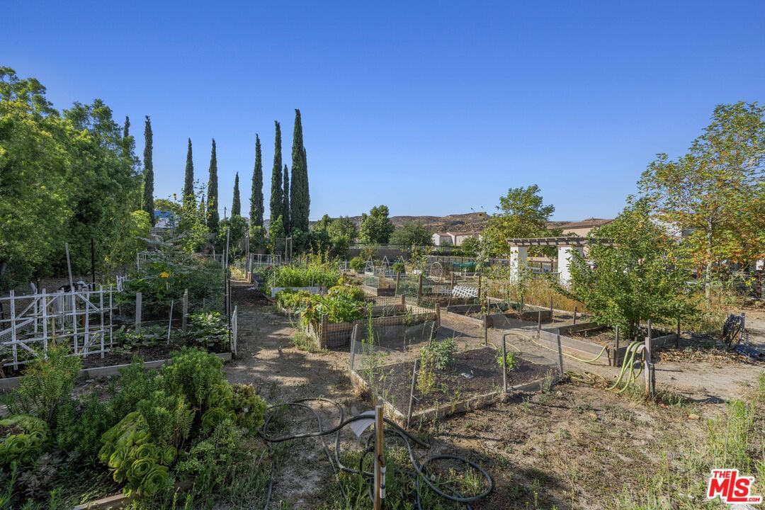 Propello photo 44
