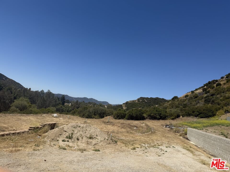 Stunt photo 6