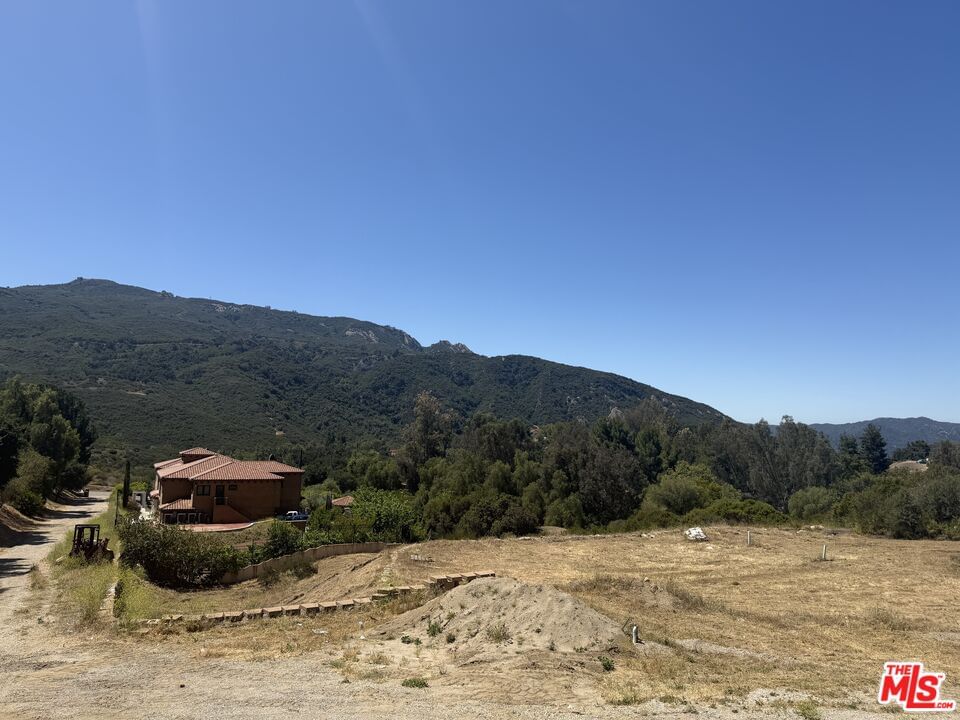 Stunt photo 7