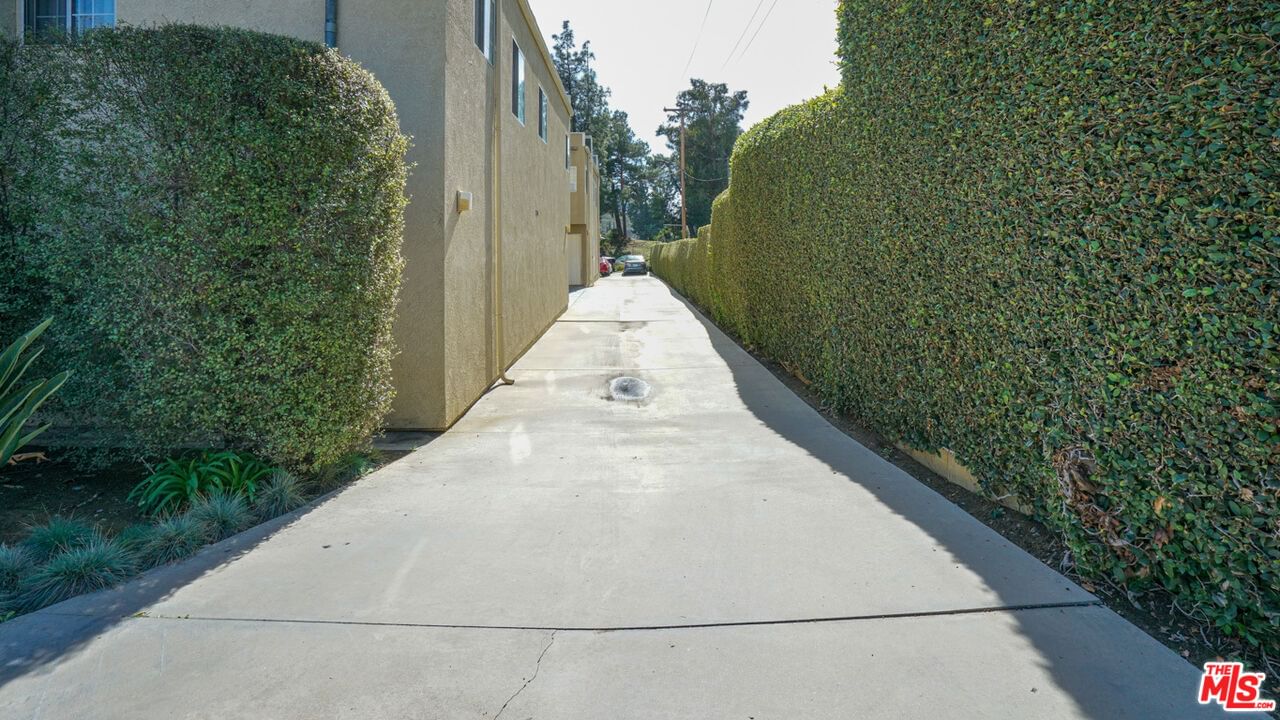 Verdugo photo 11