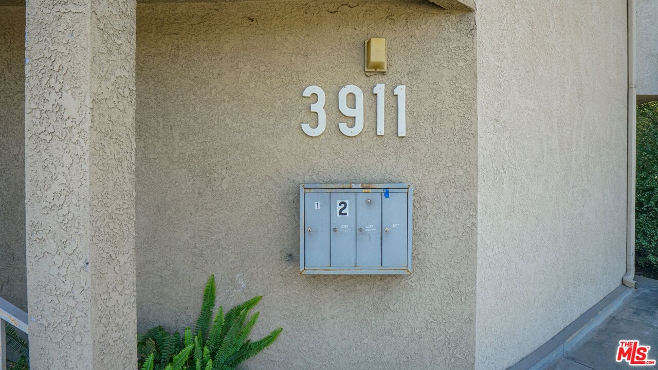Verdugo photo 7