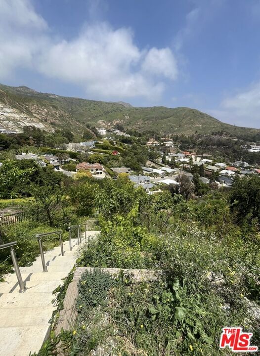 Lachman photo 22