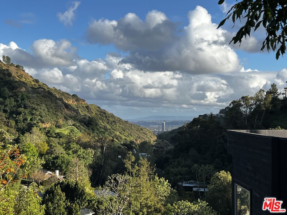 Zorada photo 38