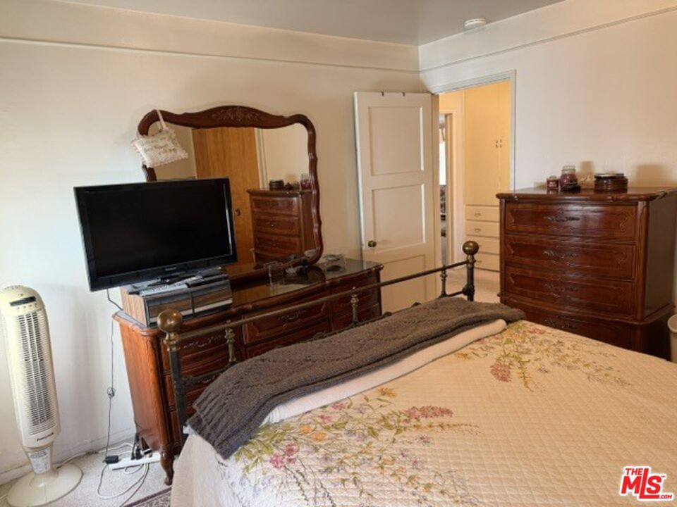 Floresta photo 16
