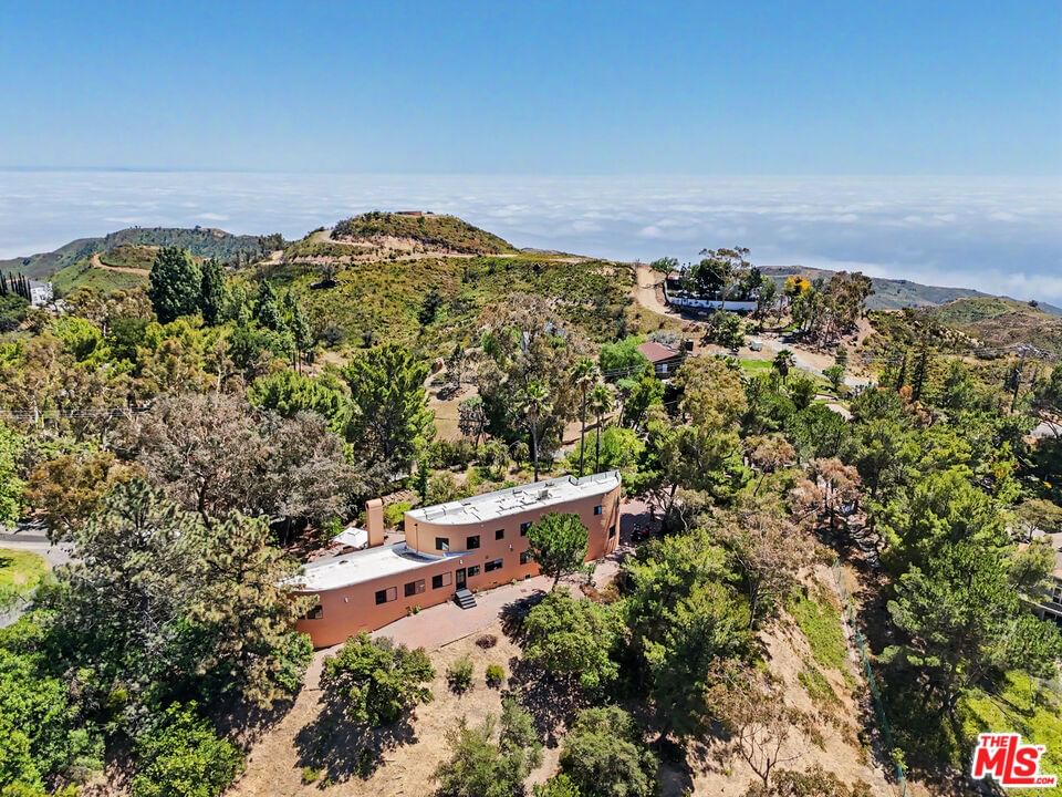 Saddle Peak photo 63